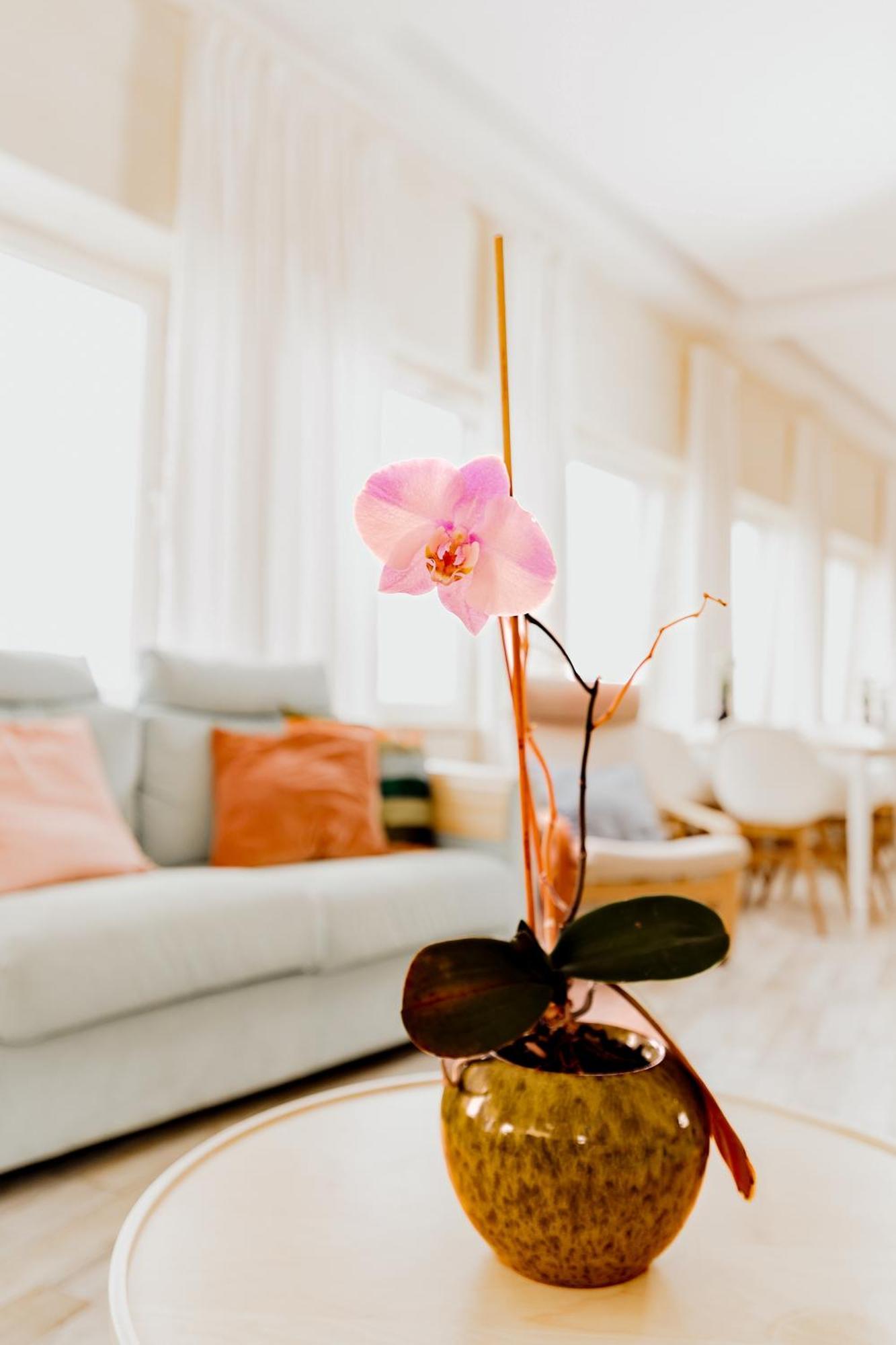 Residencial Real Guest House Азеньяш-ду-Мар Экстерьер фото